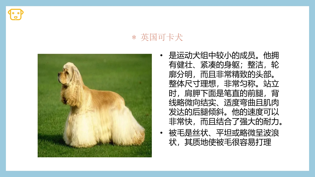 宠物狗的种类PPT课件24