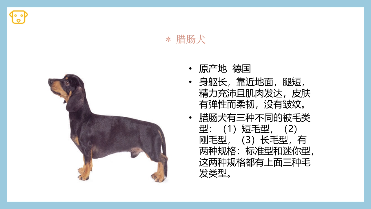 宠物狗的种类PPT课件26