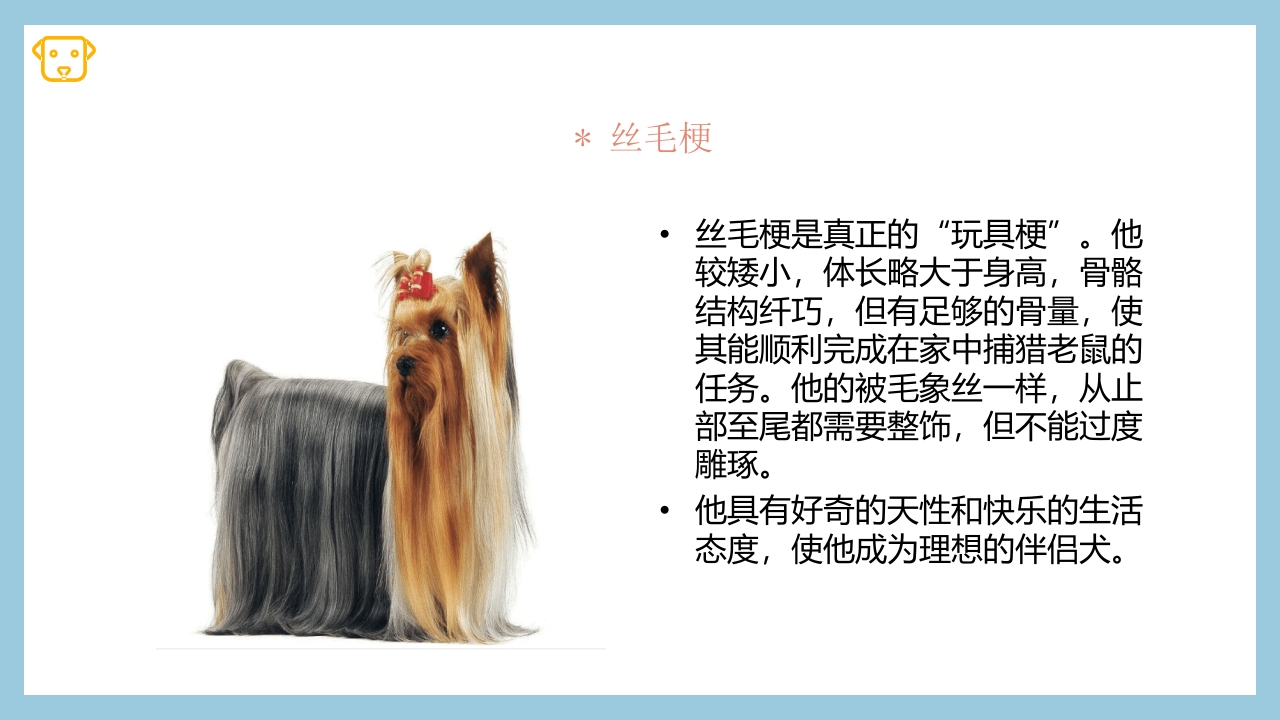 宠物狗的种类PPT课件28