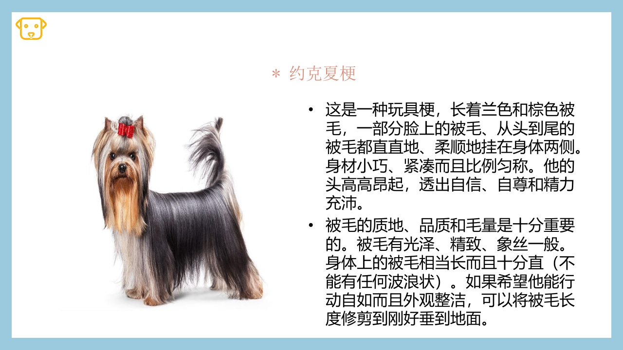 宠物狗的种类PPT课件29