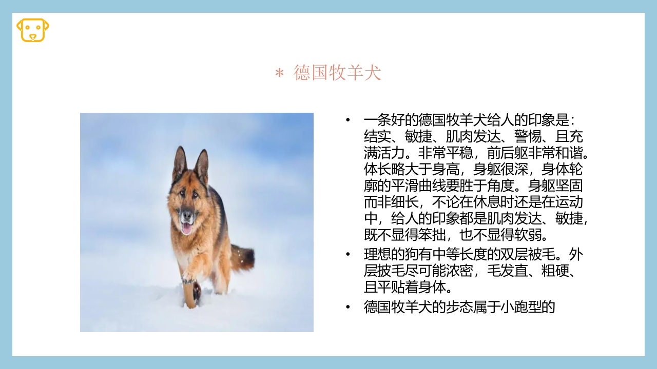 宠物狗的种类PPT课件32