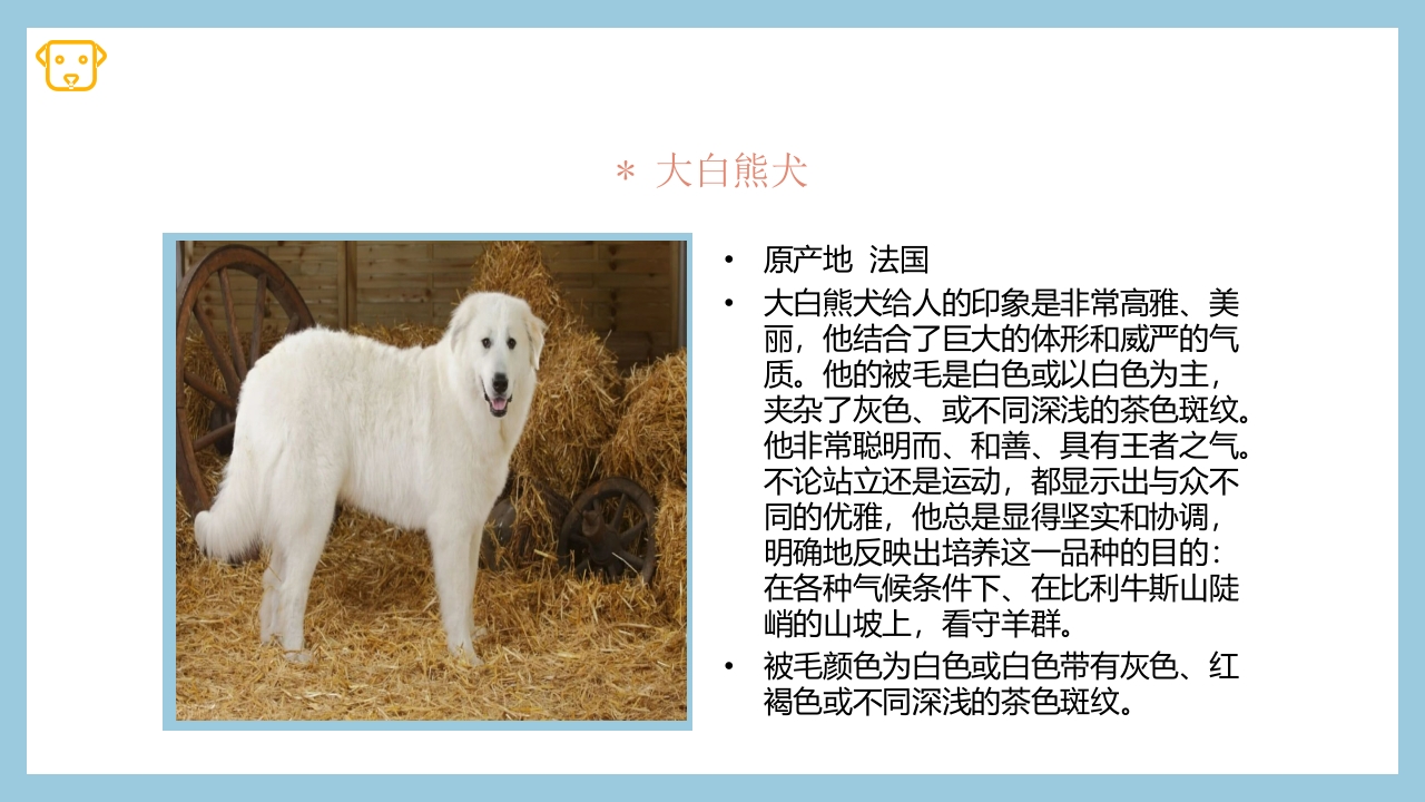 宠物狗的种类PPT课件33