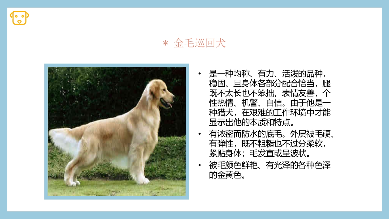 宠物狗的种类PPT课件34