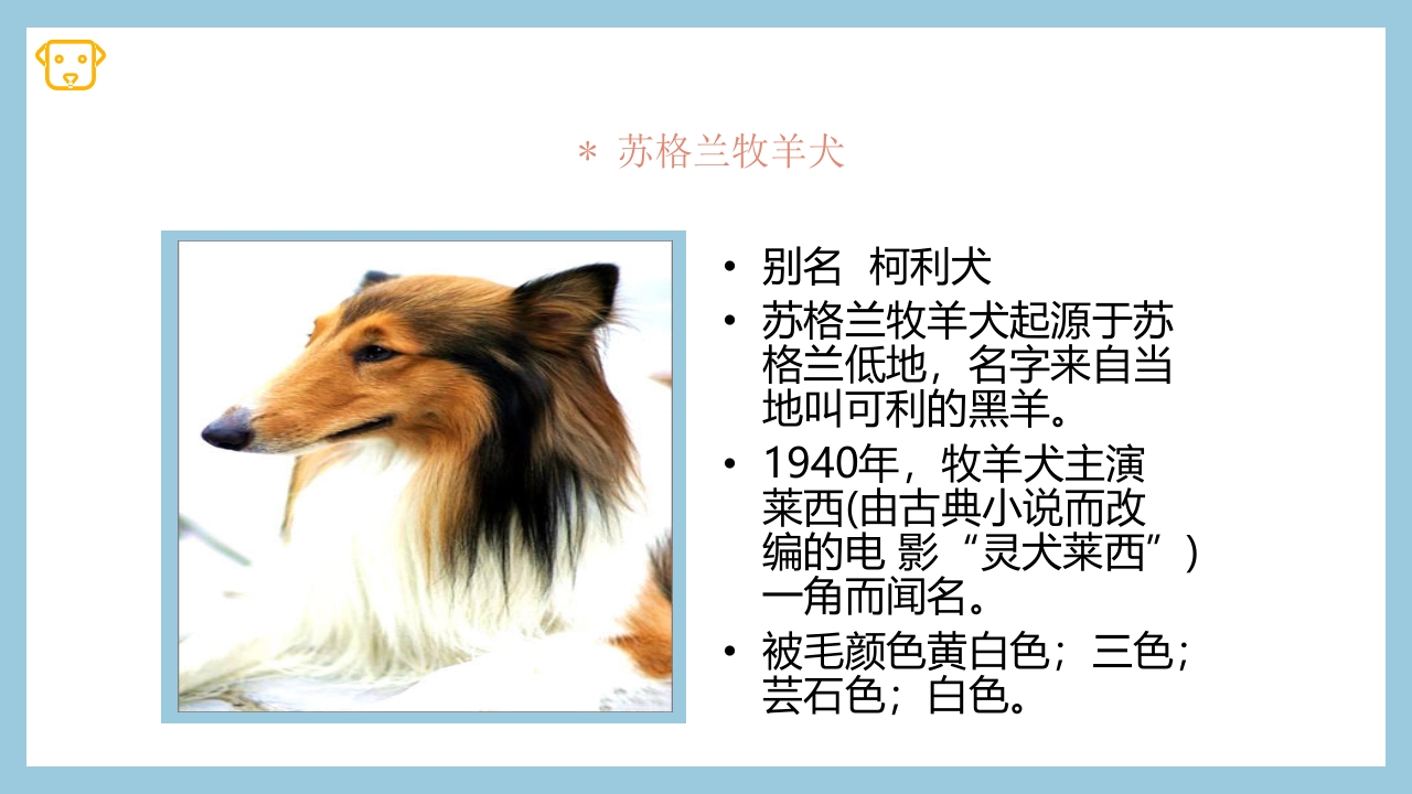 宠物狗的种类PPT课件35