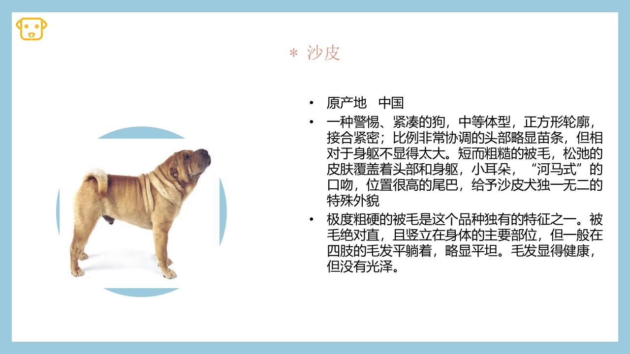 宠物狗的种类PPT课件4
