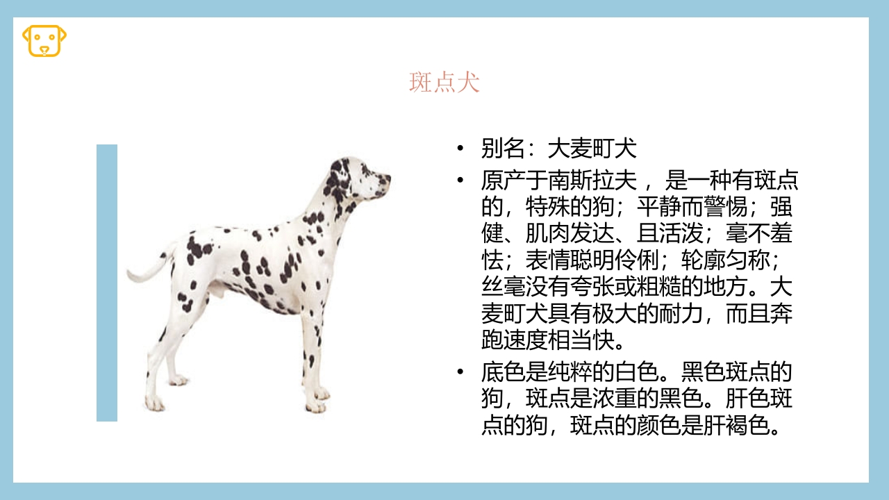 宠物狗的种类PPT课件5