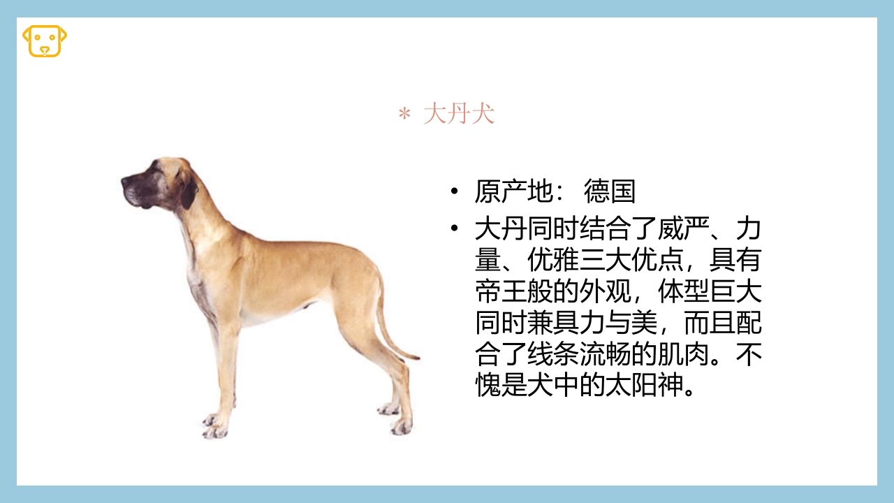 宠物狗的种类PPT课件6