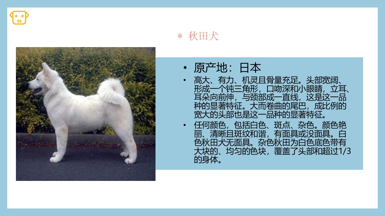 宠物狗的种类PPT课件7