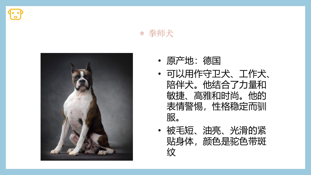宠物狗的种类PPT课件8