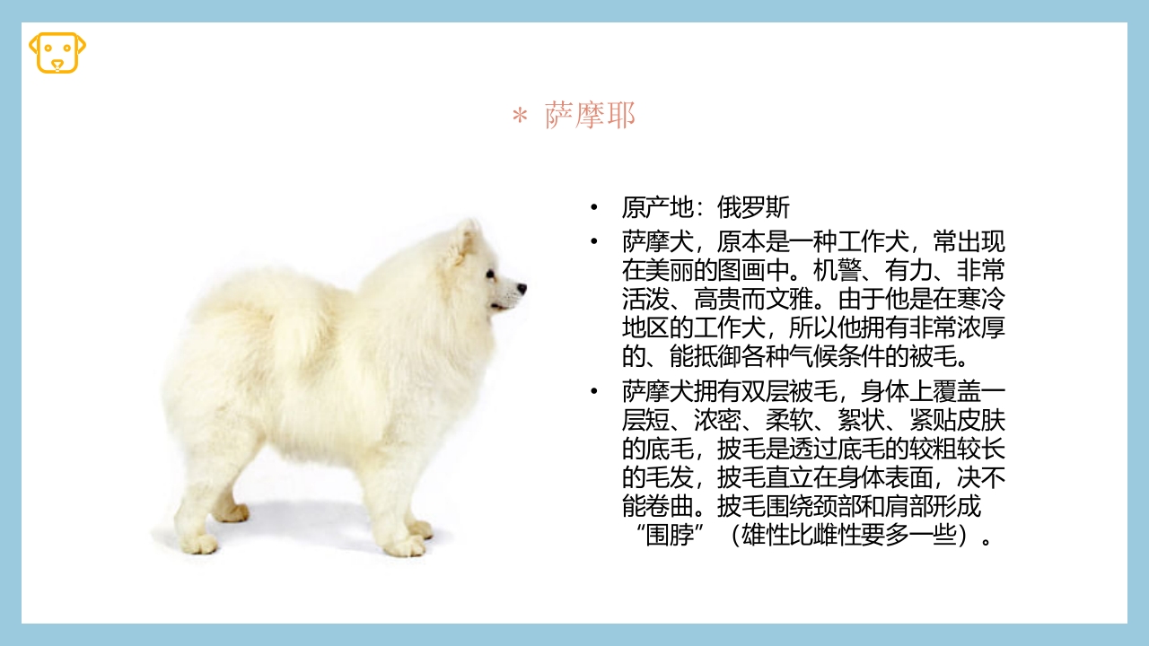 宠物狗的种类PPT课件9