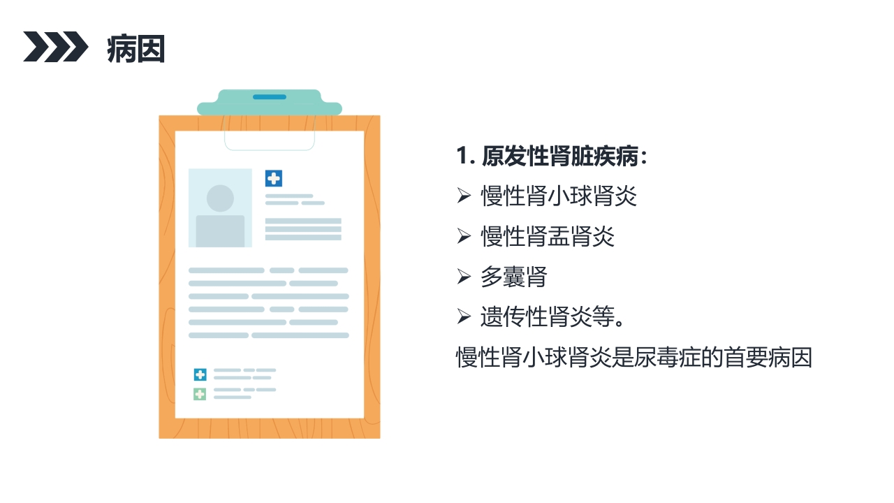 尿毒症的护理查房PPT课件22