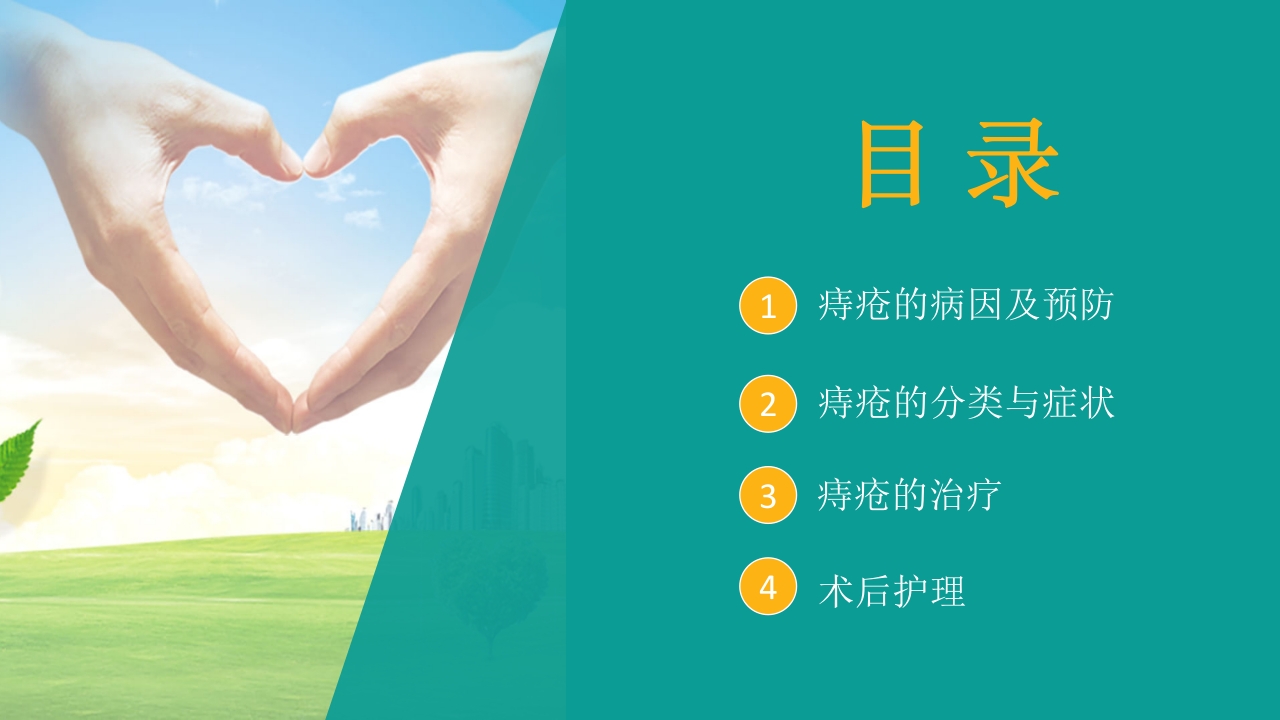 痔疮病护理培训PPT课件2