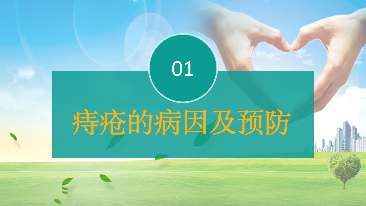痔疮病护理培训PPT课件3