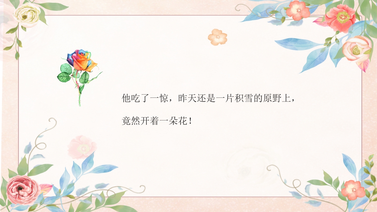 《彩虹色的花》幼儿园故事PPT课件4
