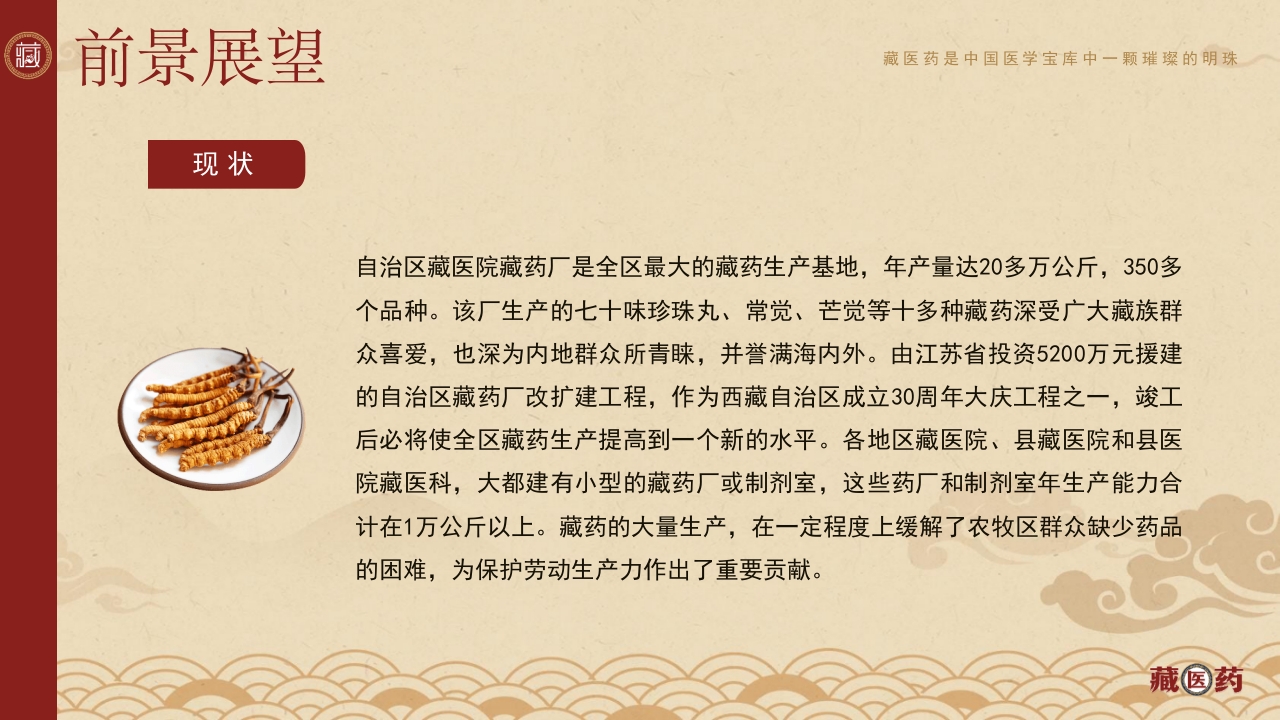 非遗文化藏医药介绍PPT课件下载20