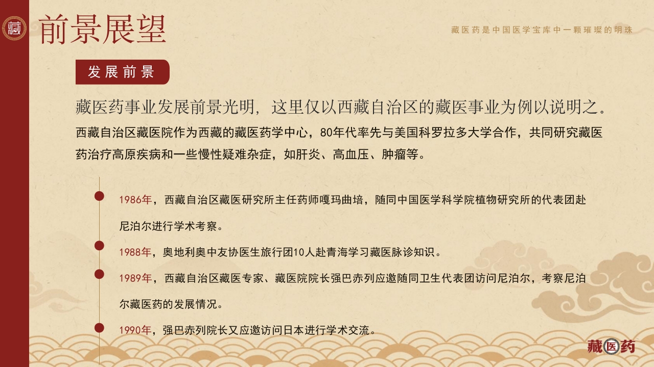 非遗文化藏医药介绍PPT课件下载24