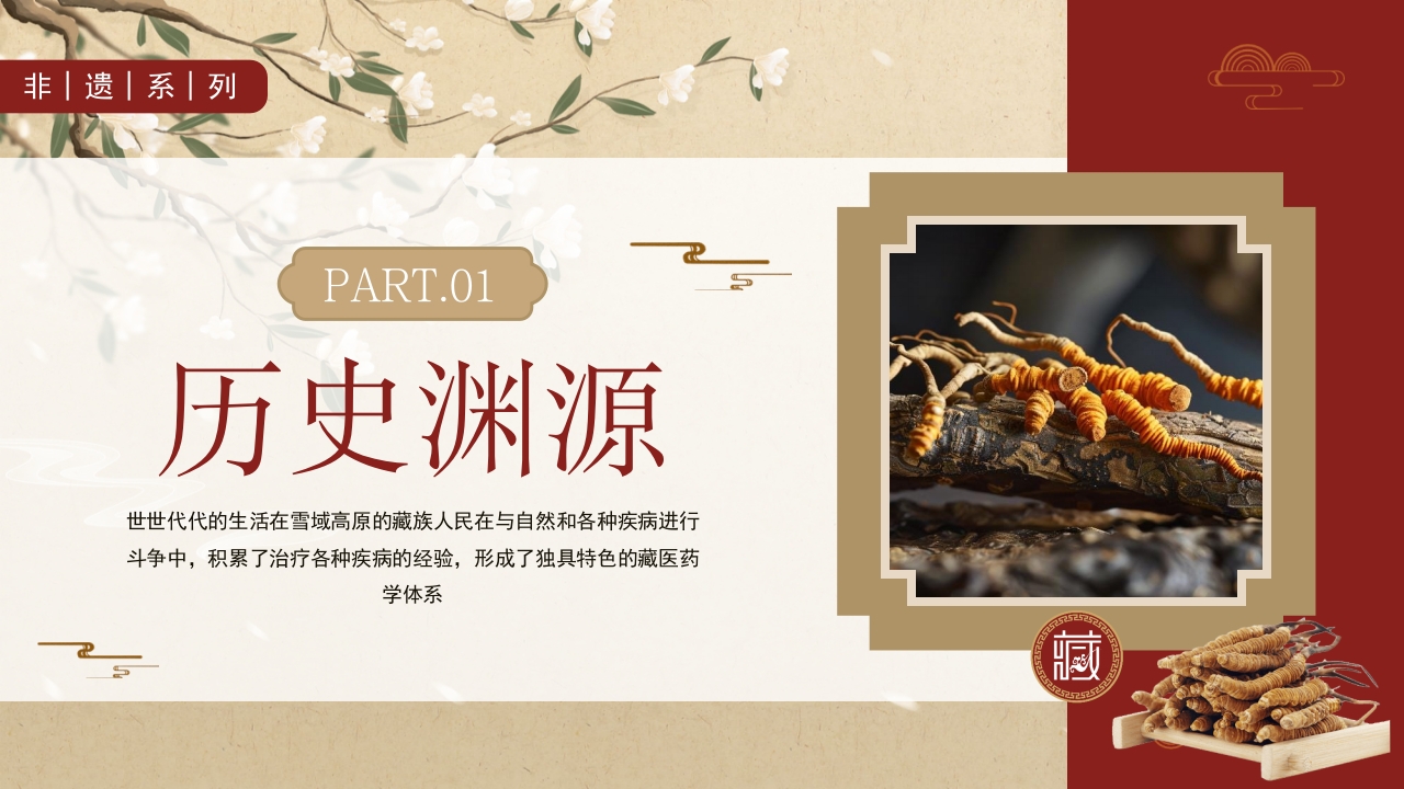 非遗文化藏医药介绍PPT课件下载3