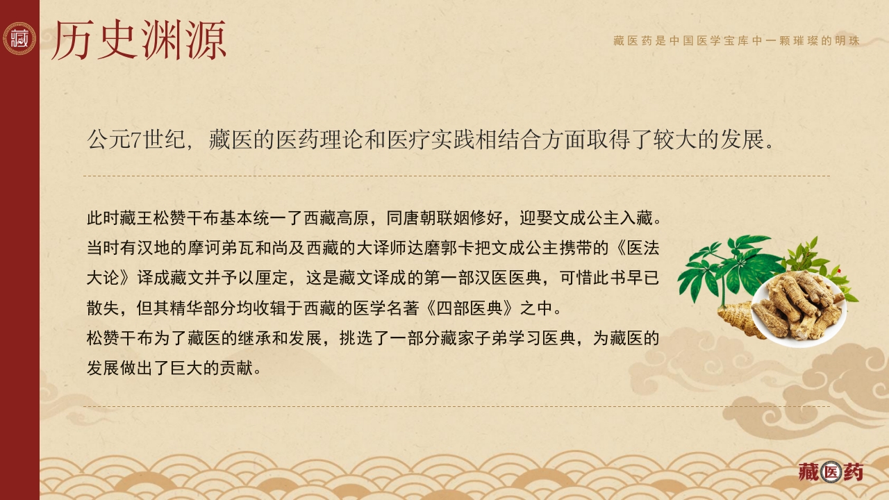 非遗文化藏医药介绍PPT课件下载6