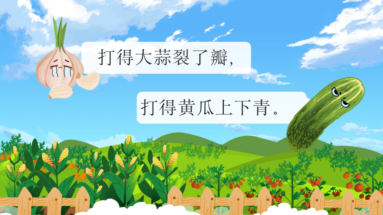 《一园青菜成了精》儿童绘本故事PPT课件14
