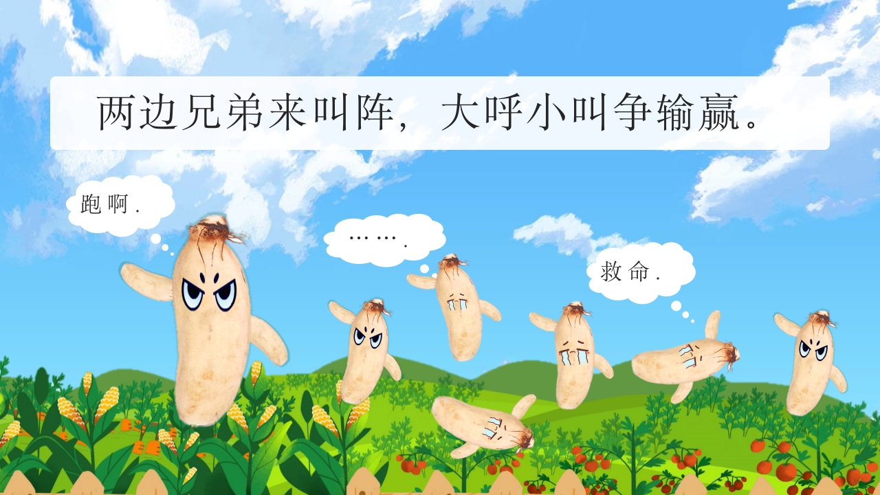 《一园青菜成了精》儿童绘本故事PPT课件17