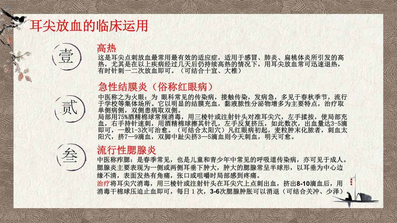 中医耳尖放血疗法PPT课件13