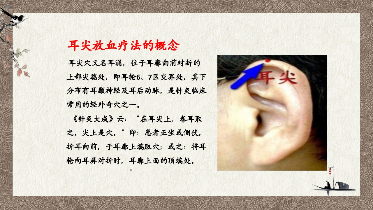中医耳尖放血疗法PPT课件3
