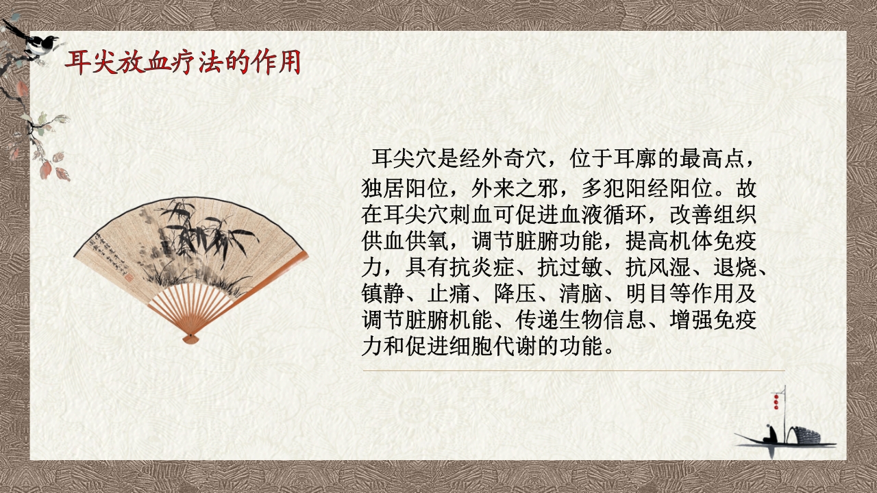 中医耳尖放血疗法PPT课件4