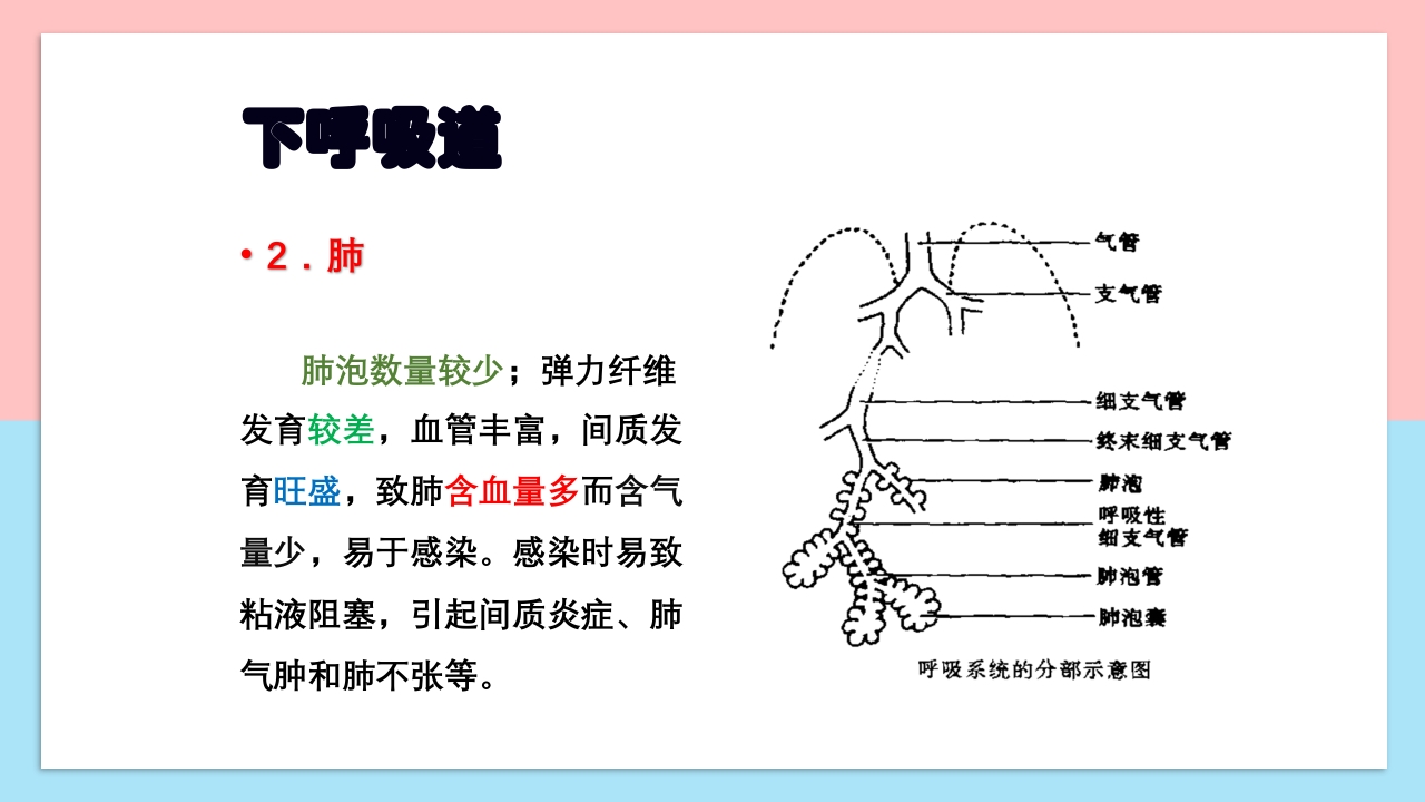 小儿呼吸系统解剖生理特点和检查方法PPT课件10