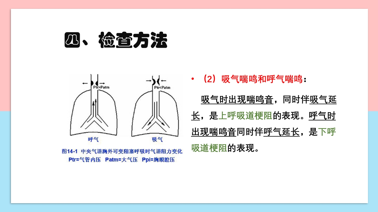 小儿呼吸系统解剖生理特点和检查方法PPT课件17