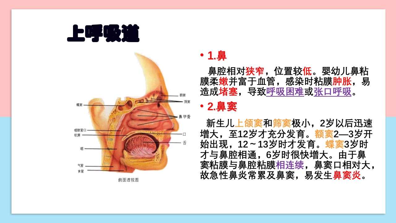 小儿呼吸系统解剖生理特点和检查方法PPT课件5