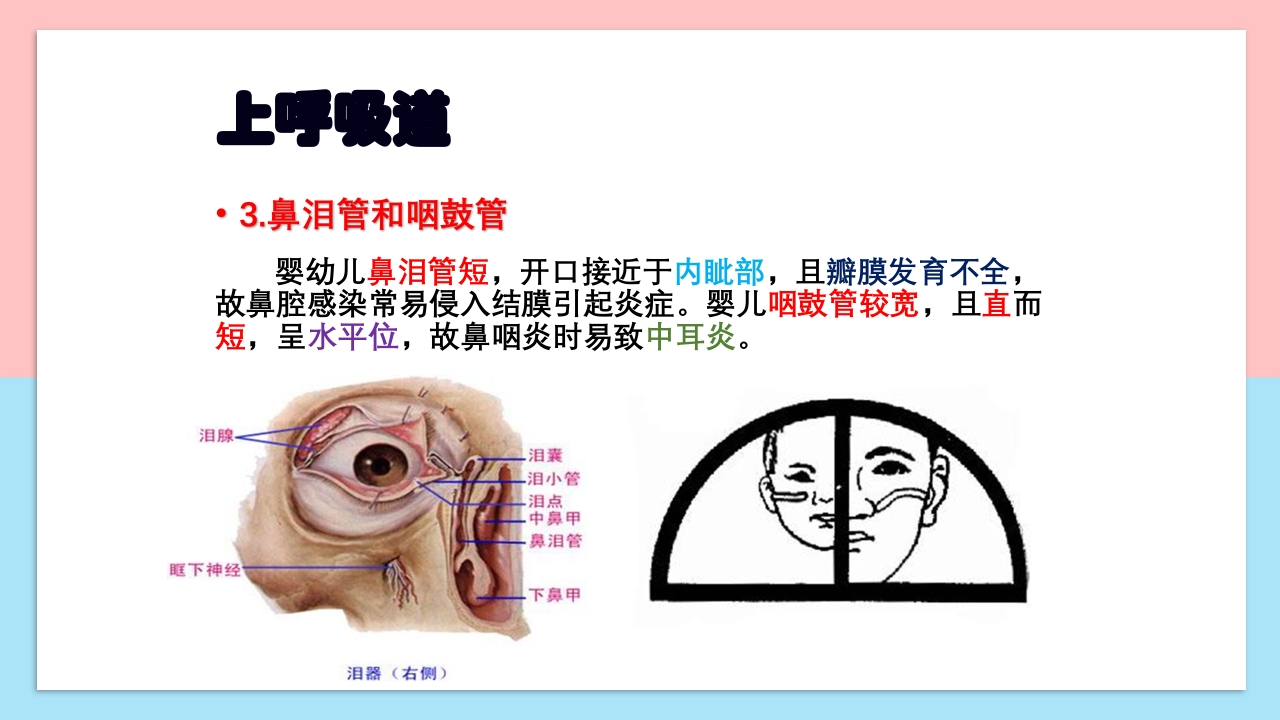 小儿呼吸系统解剖生理特点和检查方法PPT课件6