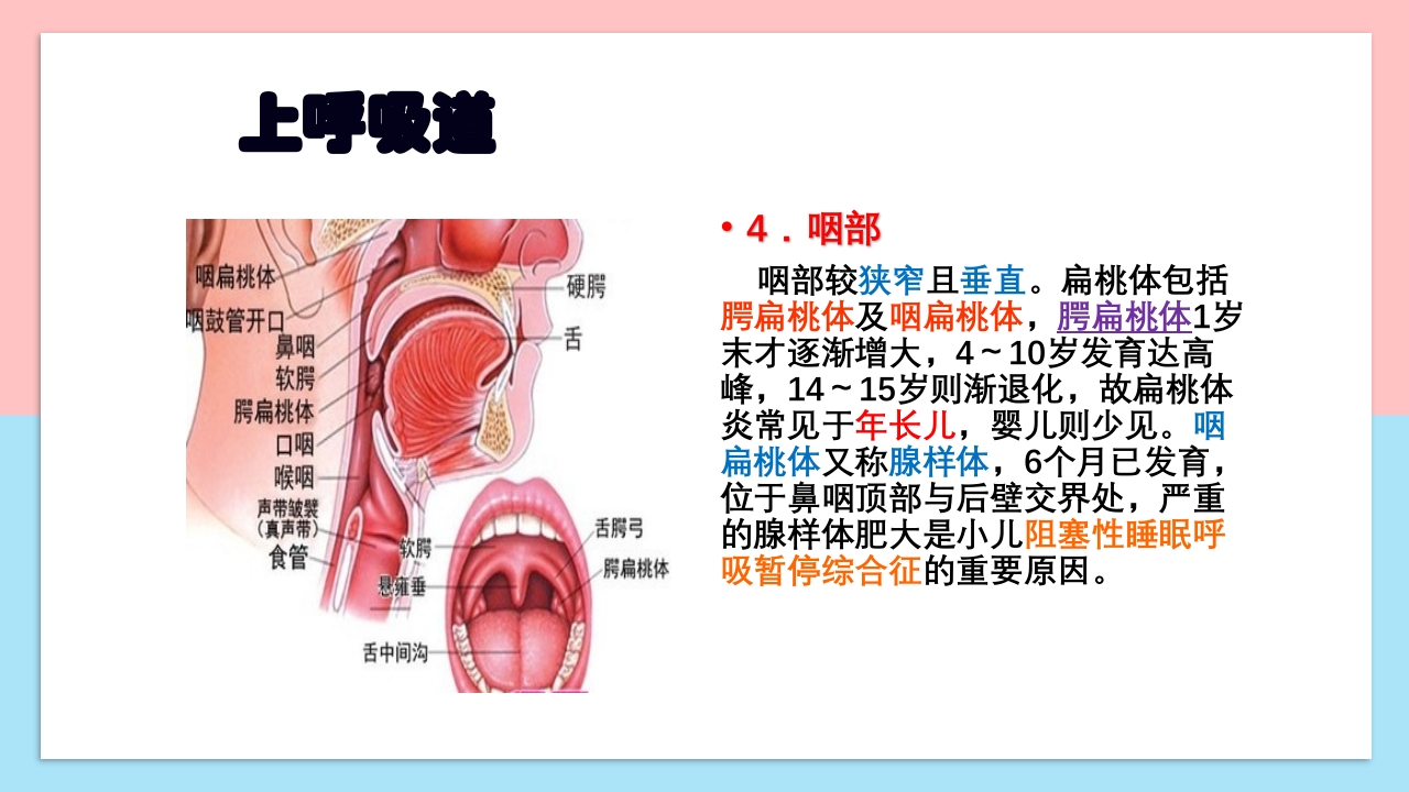 小儿呼吸系统解剖生理特点和检查方法PPT课件7