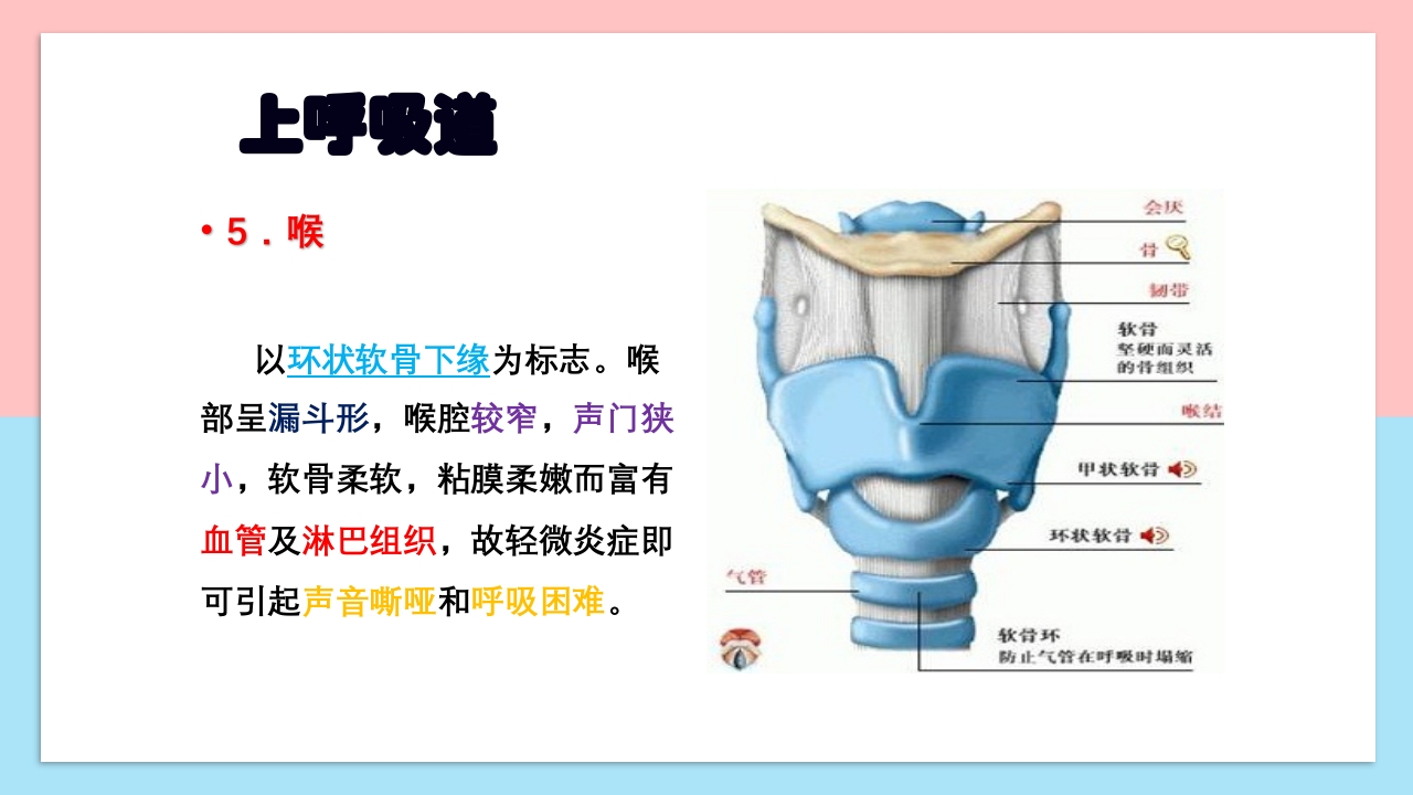 小儿呼吸系统解剖生理特点和检查方法PPT课件8