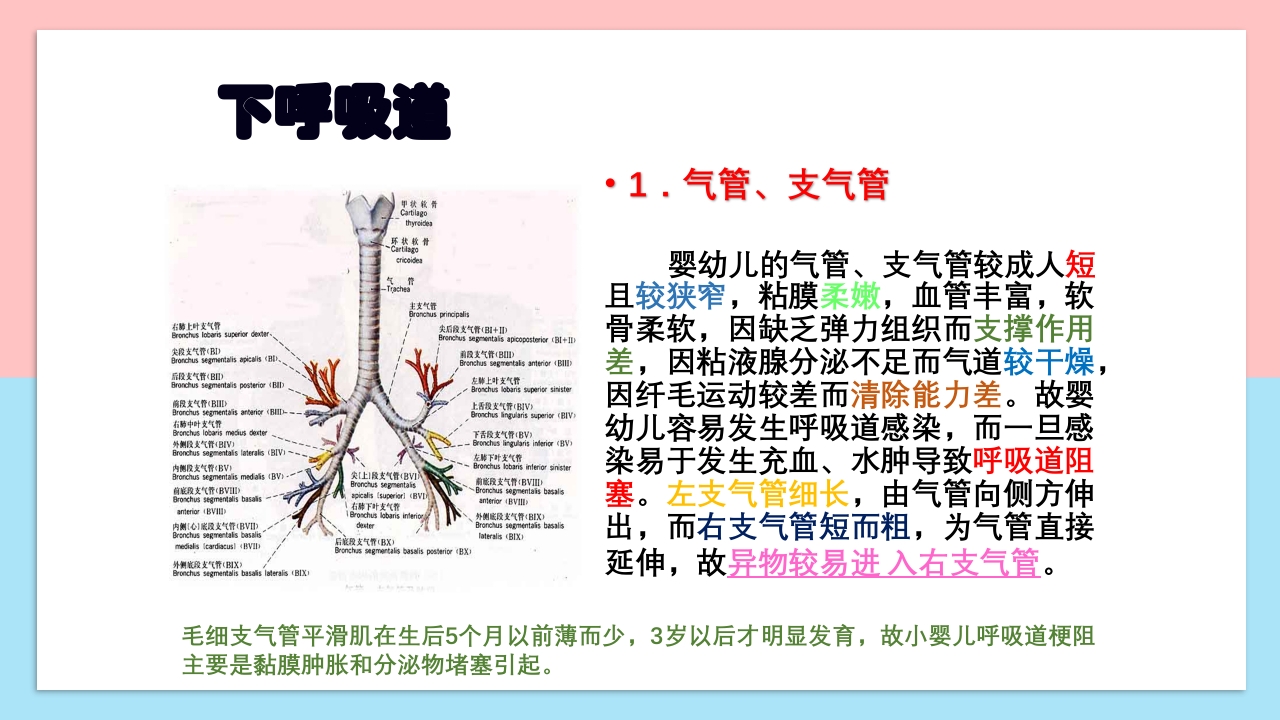 小儿呼吸系统解剖生理特点和检查方法PPT课件9