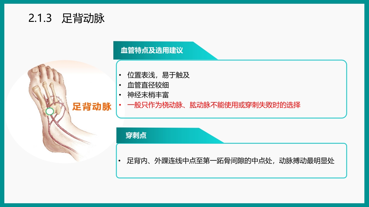 血气分析指南解读-《动脉血气分析临床操作实践标准》解PPT课件19