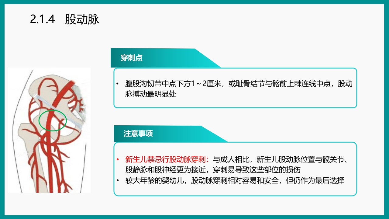 血气分析指南解读-《动脉血气分析临床操作实践标准》解PPT课件21