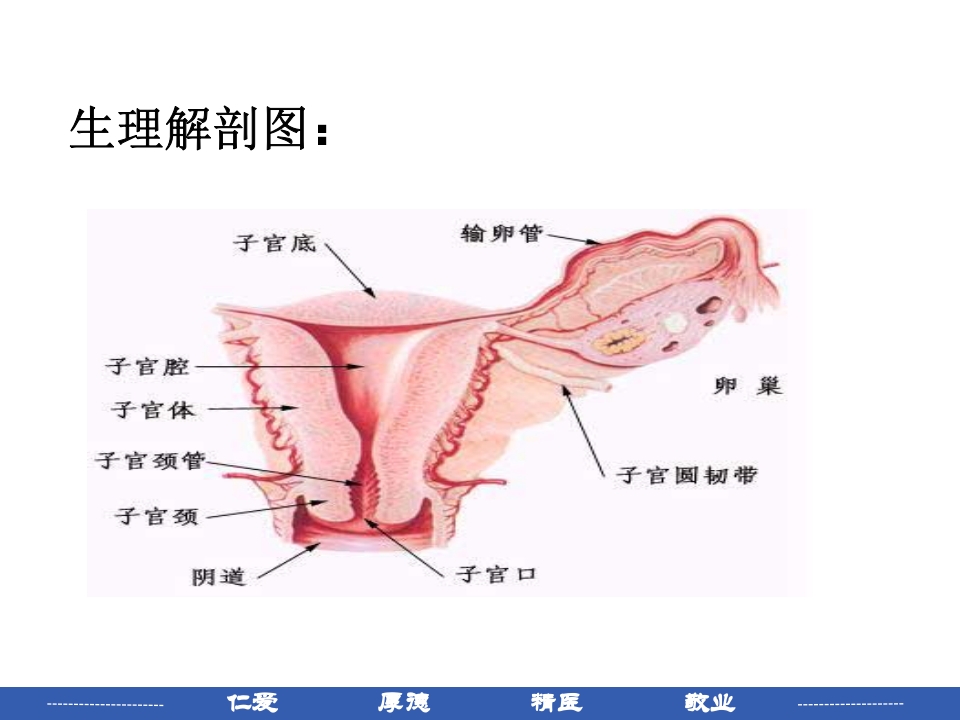 宫颈癌患者护理常规PPT课件3