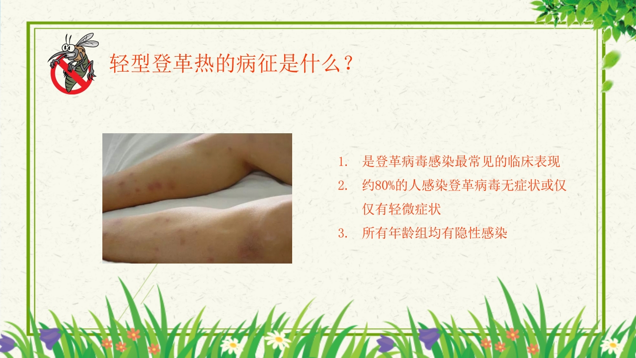 预防登革热从我做起教育主题班会PPT课件下载11