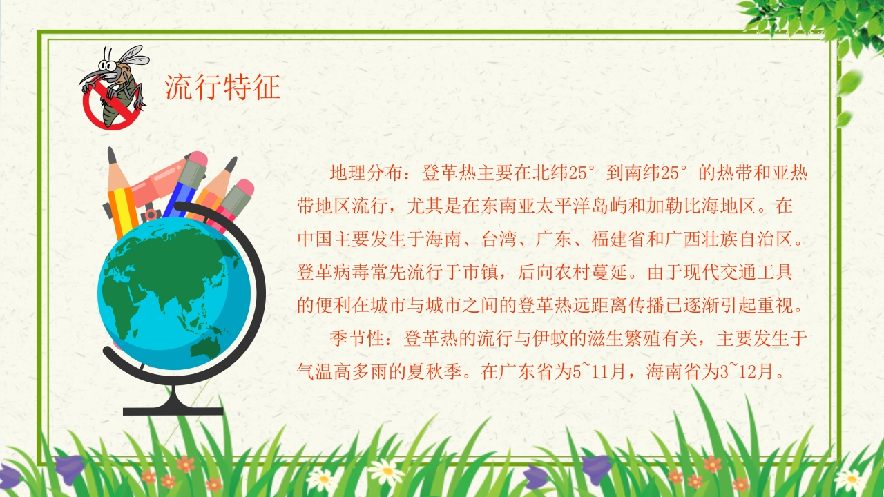 预防登革热从我做起教育主题班会PPT课件下载13