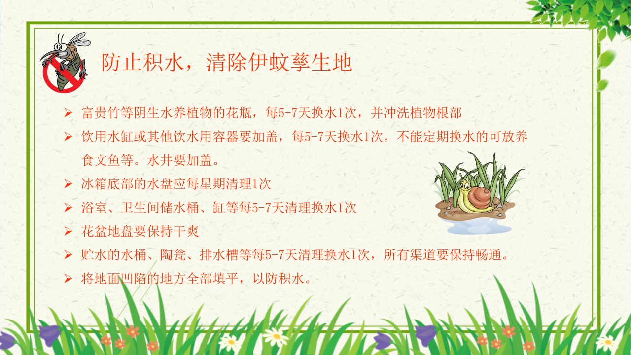 预防登革热从我做起教育主题班会PPT课件下载16