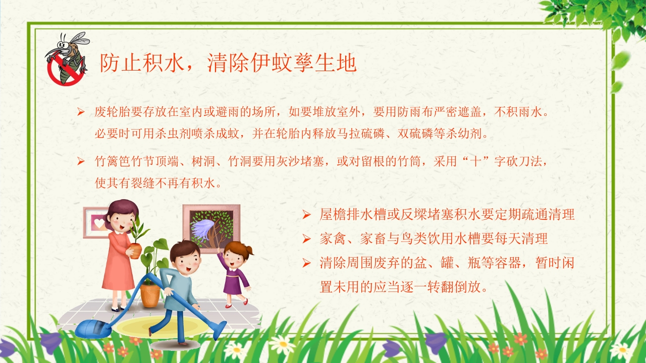 预防登革热从我做起教育主题班会PPT课件下载17