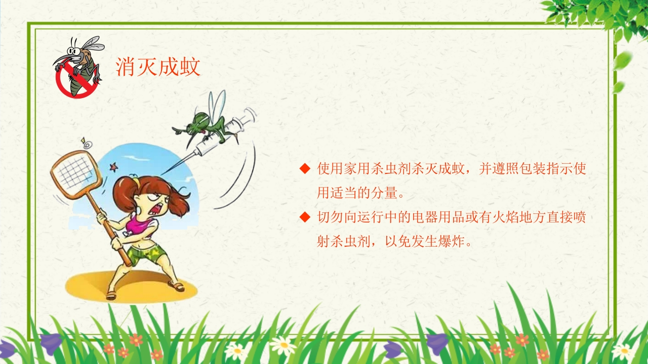 预防登革热从我做起教育主题班会PPT课件下载18