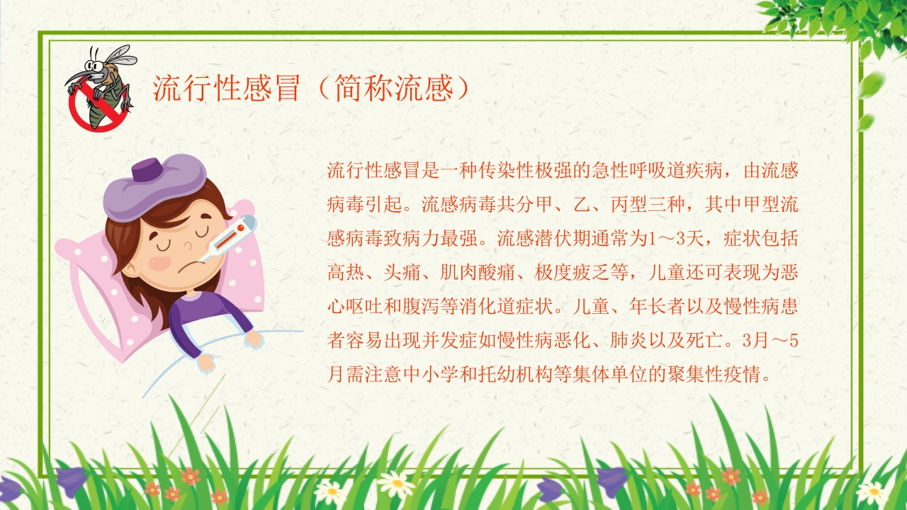 预防登革热从我做起教育主题班会PPT课件下载21