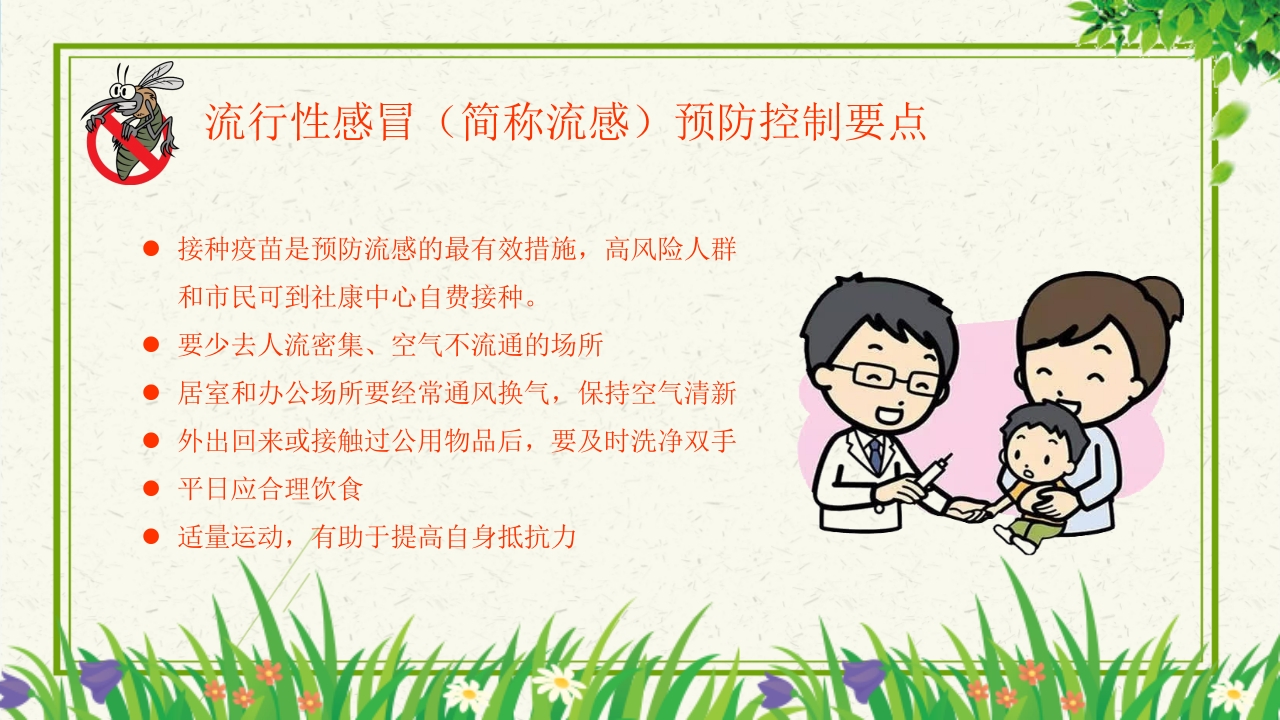 预防登革热从我做起教育主题班会PPT课件下载22