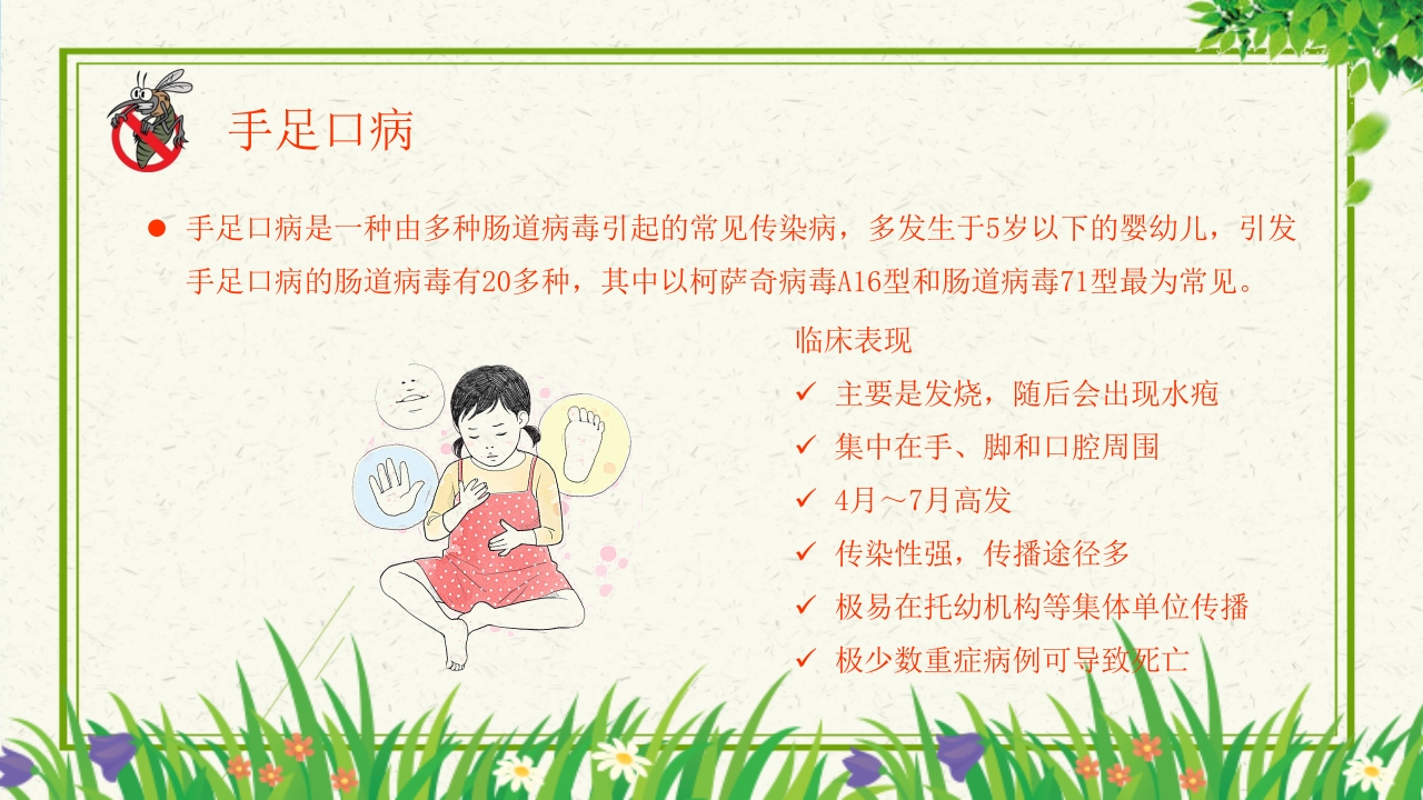 预防登革热从我做起教育主题班会PPT课件下载23