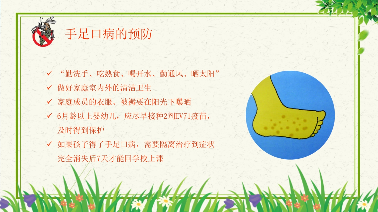 预防登革热从我做起教育主题班会PPT课件下载24