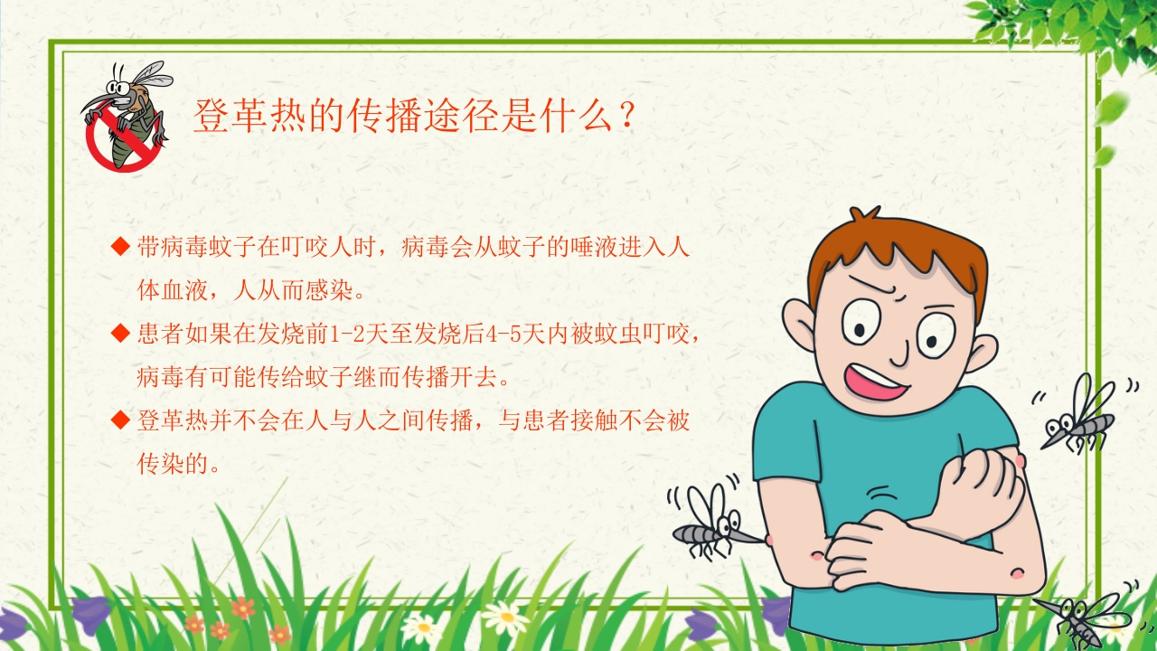 预防登革热从我做起教育主题班会PPT课件下载7