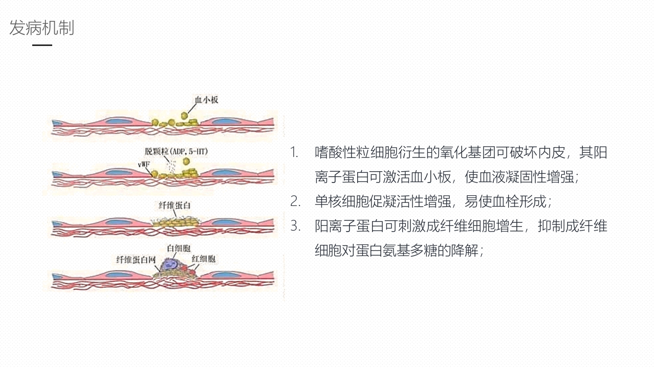 嗜酸性粒细胞增多症护理课件PPT课件8