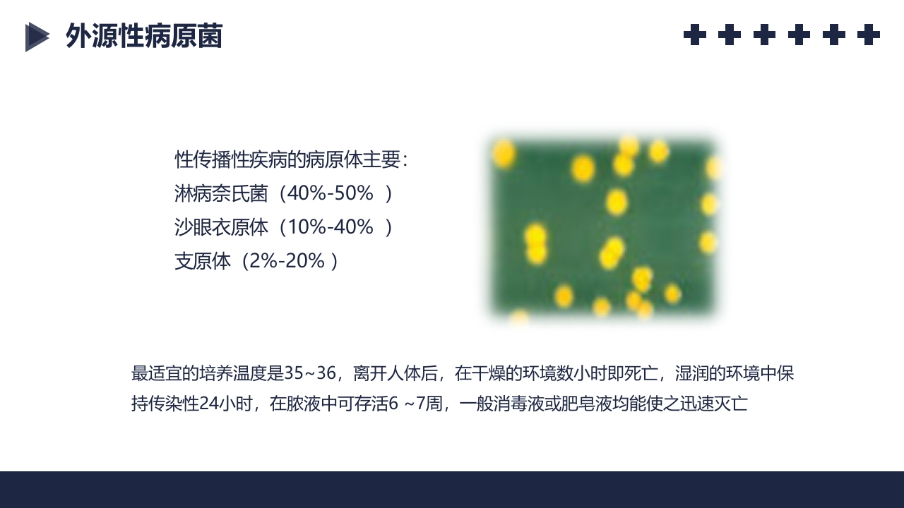 盆腔炎知识介绍PPT课件10