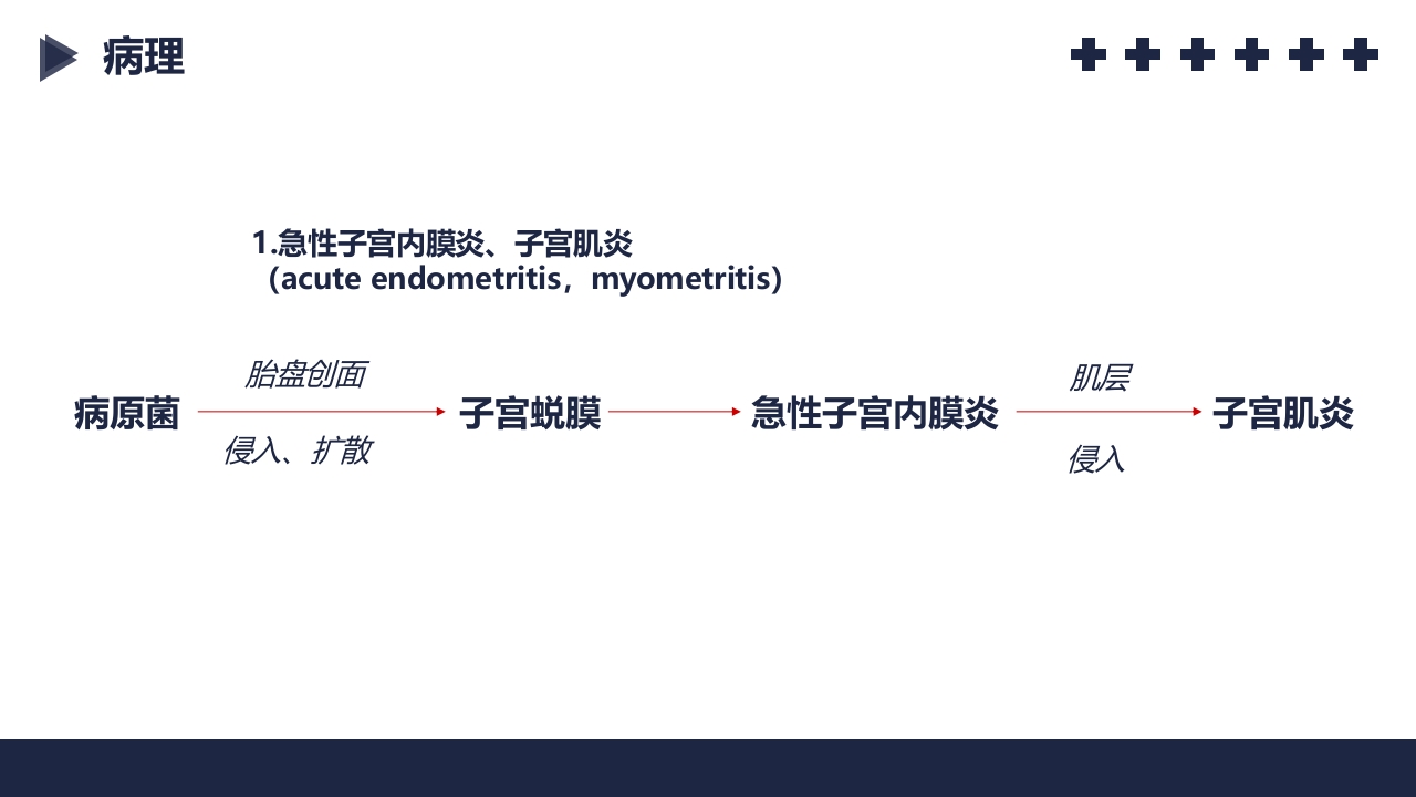 盆腔炎知识介绍PPT课件18